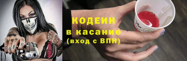 шишки Аркадак