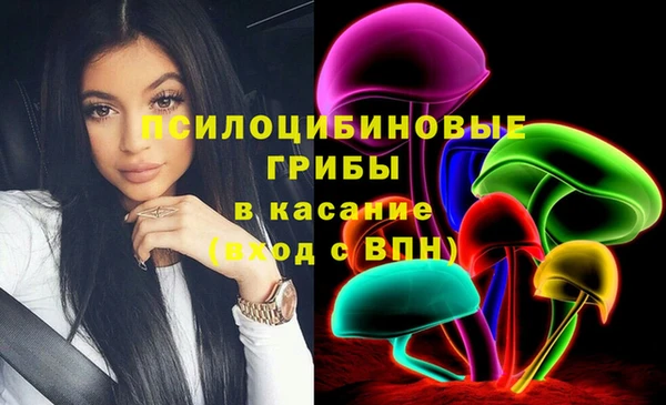гидропоника Арсеньев