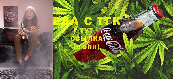 шишки Аркадак