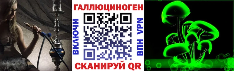 Псилоцибиновые грибы Psilocybe  Покачи 